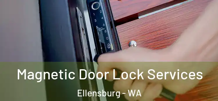 Magnetic Door Lock Services Ellensburg - WA